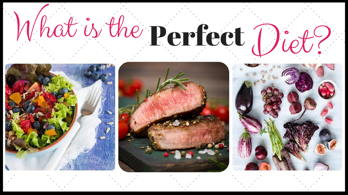 What is the Perfect Diet?