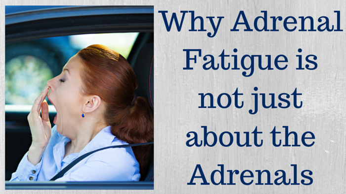 Why Adrenal Fatigue is not just about the Adrenals
